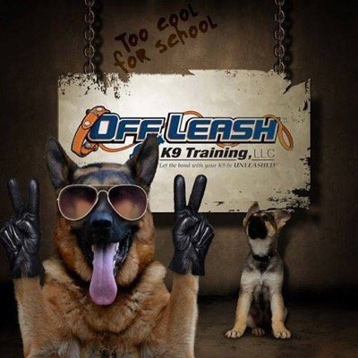 Find out why we are considered the best dog trainers in the country! Subscribe to our YouTube channel. https://t.co/rBwtz5RhO5