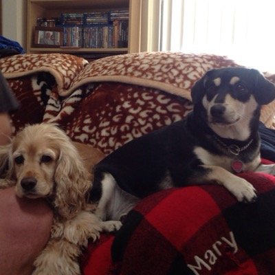 MharyPo's profile picture. 