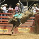 Marc Caron - @MarcCaron817 - Twitter