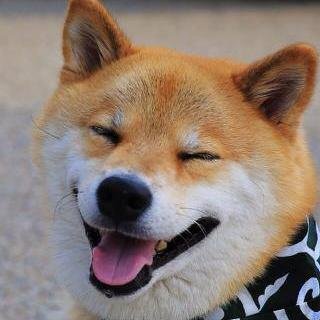 Scratito's profile picture. 