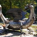 Lori Tanner - @Hairybaseball22 - Twitter