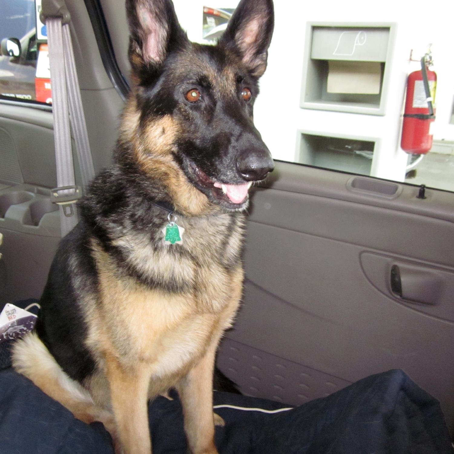 rlfbai's profile picture. 