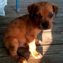 Stacey Lemoine - @StaceyAngela84 - Twitter