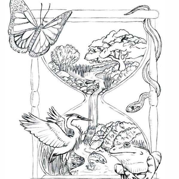 timeinterval's profile picture. 