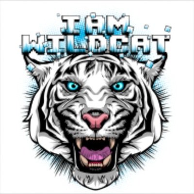 I am wildcat fans friends with Lui calibre fan1 H20 Delirious fan1 Vanossgaming fan1