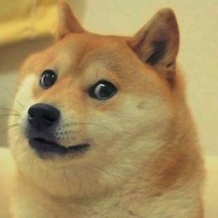DOGE