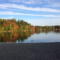 Doug Neu a/k/a Outdoor Cat (@dbneu) 's Twitter Profile