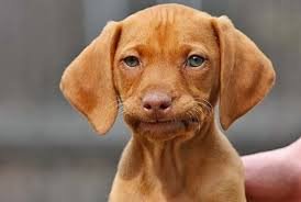 the_nomaad's profile picture. Hey I'm Jake I'm a free agent sniper/trickshotter who is looking for a clan my youtube channel is the nomad sub if you can. 
Stay positive!  :)