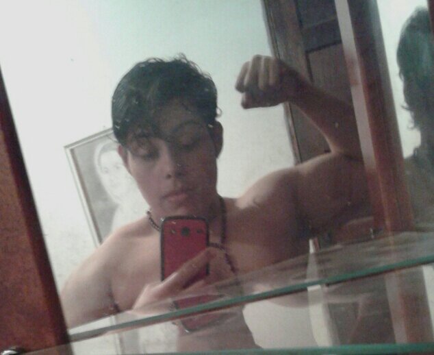 whats (11) 96363-1461