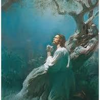 The Book of Mormon is another testament of Jesus Christ and contains the fullness of his gospel. Every Monday we will share scriptures from the Book of Mormon