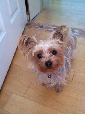 marcia_hogan's profile picture. 