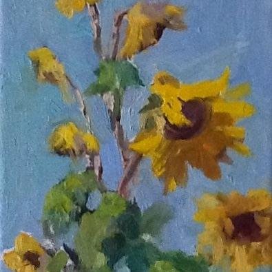 Kelley Sanfordさんのプロフィール画像