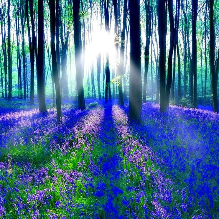 The UK's essential Funeral Planning & Ideas guide.