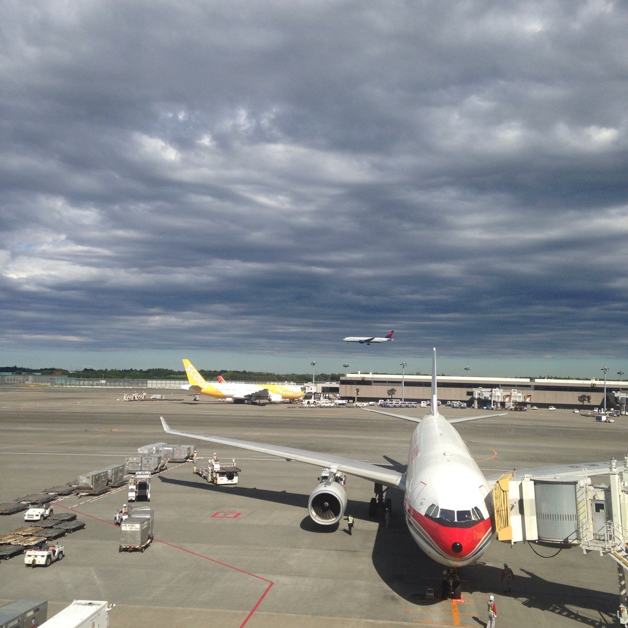 kenzo1130's profile picture. IT