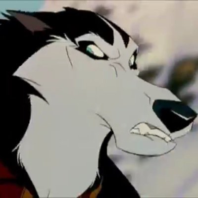 Still waiting to get revenge on Balto!! Mate is @OnlyWolfyGirl2 #Male //Yes also main account is @LickThatLollie and no I'm not creepy @BruteSteele @SteeleGlory