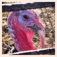 Matt Dayhoff (@mattdayhoff) Twitter profile photo