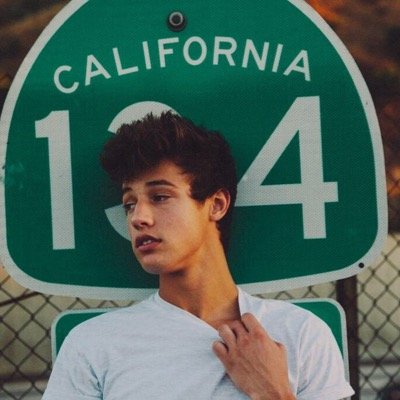 jacobandcam45's profile picture. whitesider ◽️ & i also love cameron too, along with nash and the rest of the boys