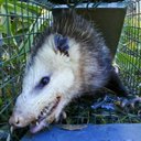 Jonathon Lawrence - @jonlwa3422 - Twitter