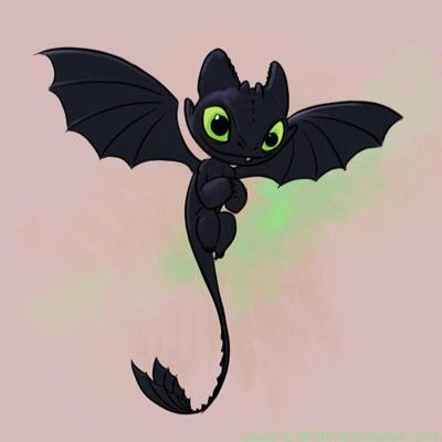 Meet Lilia, a baby Nightfury, who's parents have been killed by a madman, and was left for dead. She will not try to hurt you unless you try to hurt her.