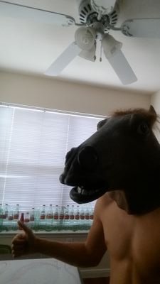 LETS HAVE AN ADVENTURE! proudly going where no horse has gone before