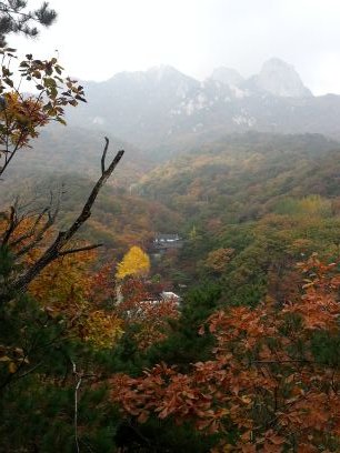 사람사는 세상  공존하는 삶  환영   배타적인 종교인사절  그외엔 100%맞팔노력합니다