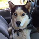 Joseph Cusenza - @CusenzaJoseph - Twitter