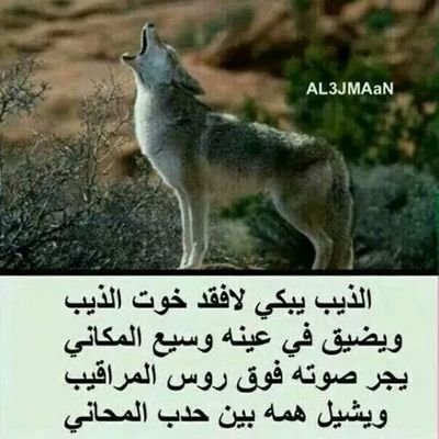 ‏اردنيو الانتماء هاشميو الولاء