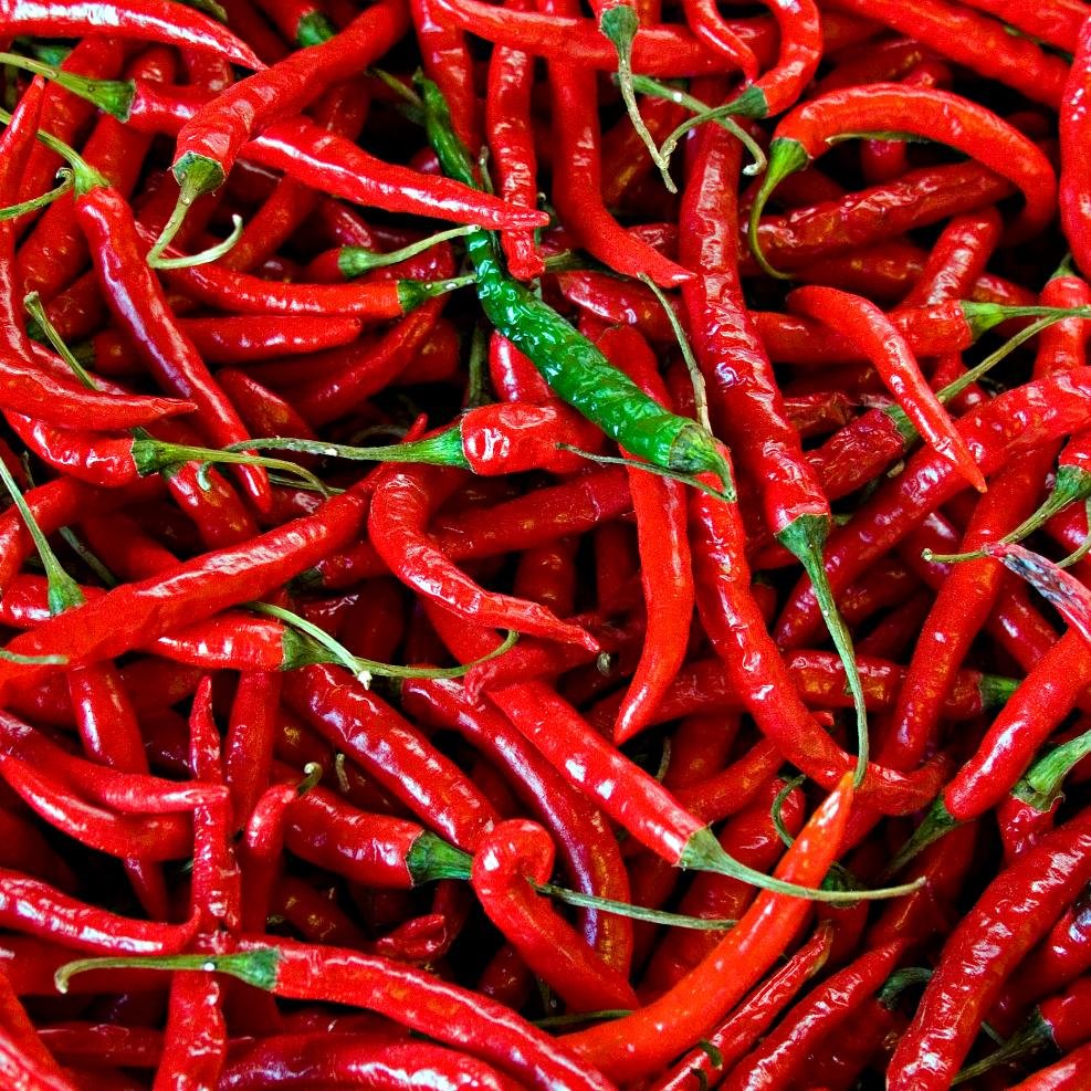 festivefest's profile picture. Spicy Food Festival in SF Saturday, May 9th '15. Bringing you the best vendors @ Justin Herman Plaza (Embarcadero).