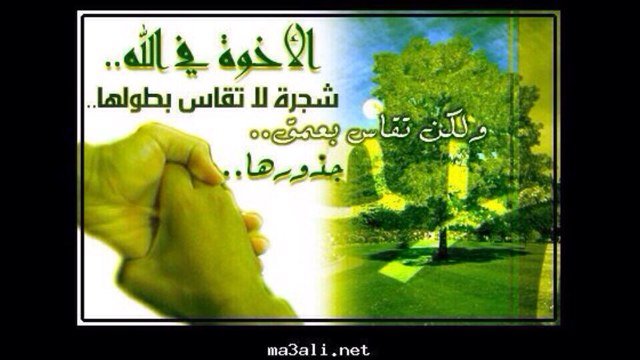 سبحان الله وبحمده سبحان الله العظيم