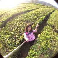 Tan (@intanutaridewi) 's Twitter Profile