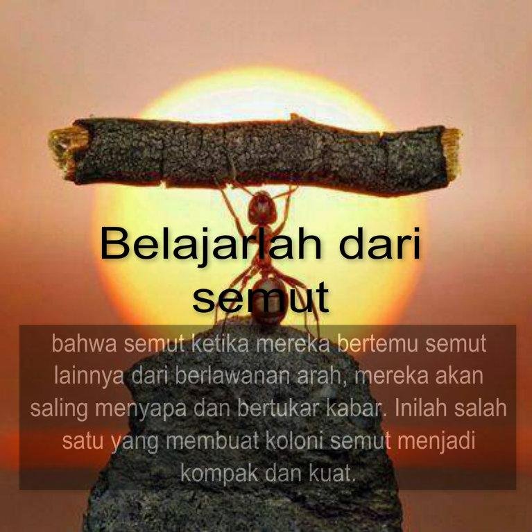 Bahagia secukupnya,Sedih seperlunya,Mencintai sewajarnya, Membenci sekedarnya,Bersyukur Sebanyak-banyak.universitas muhammadiyah fak.hukum.