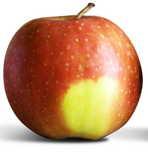 Food4BodySoul's profile picture. A space for health, beauty, and Love