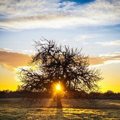 癒される 言葉 Kenchan Twitter