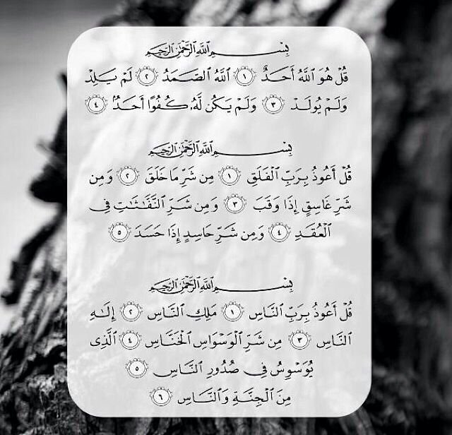 بأذن الله تعالى.راح أنزل آيات .و احاديث و قصص انبياء