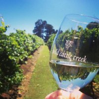 Wild Cattle Creek (@wildcattlecreek) 's Twitter Profile