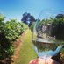 Wild Cattle Creek (@wildcattlecreek) Twitter profile photo