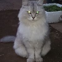 Yumilovespaulstarr (@0618pm) 's Twitter Profile