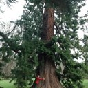 Laine Smith - @Laieen - Twitter