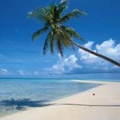 Super Tropical Radio - La mejor selección de música tropical para escuchar online: Bachata, Meregue, Salsa, Vallenato, Reggeton, Dembow, Banda, Pop, Baladas.