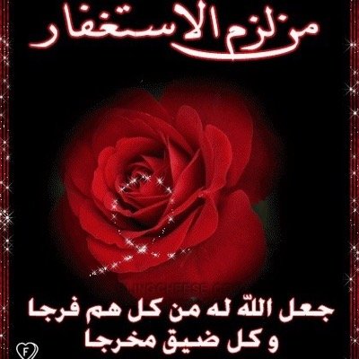 باحث للحقيقه - متسلط - صريح - مناقش - اجتماعي - مقدم برامج سابق - كذاب احيانا - صادق غالبا - للتواصل واتساب فقط