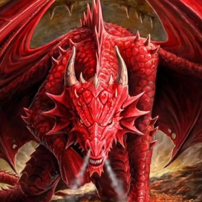 If I see any dragon on twitter, I'll spread them world wide by RTing! #bot
