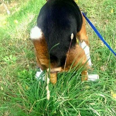 terrada3552's profile picture. 