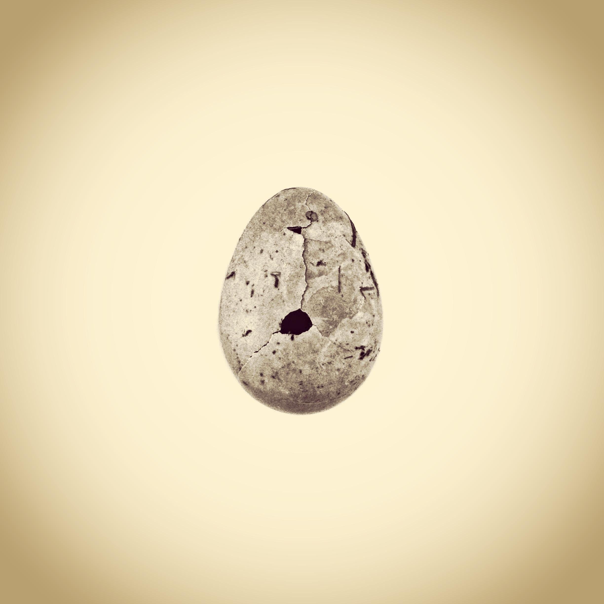 Artist and Educator
http://t.co/zyDRhwyjyw 
http://t.co/BxONc5HDJX
Instagram joshuadwhite