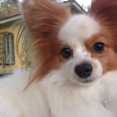 TaraClivio's profile picture. 