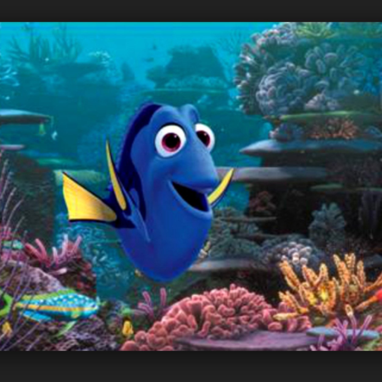 Hi everyone, my name is.. Ummm...