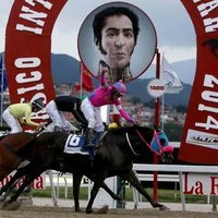 EL MAGO HIPICO (@elmagohipicoo) 's Twitter Profile