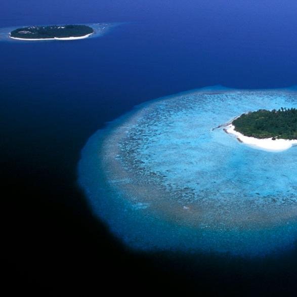 We will Guide you Best Location In Maldives .