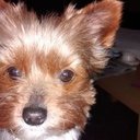 carl hall - @ColtukHall - Twitter