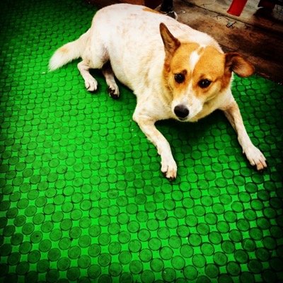 noricoro23s's profile picture. 