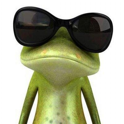 Hola,soy la rana del Whatsapp,probablemente en este momento sea tu foto de perfil..